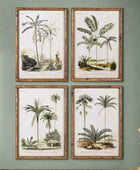 Bamboo Style Vintage Palm Tree Illustrations - set of four - The Farthing