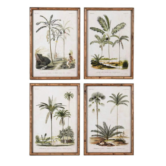 Bamboo Style Vintage Palm Tree Illustrations - set of four - The Farthing