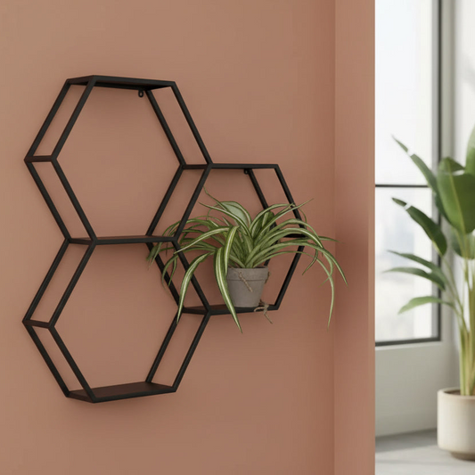 Hexagonal black wall shelf with a plant against a brown wall