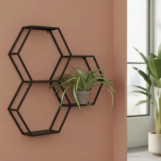 Hexagonal black wall shelf with a plant against a brown wall