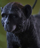 Black Walking Monkey Table Light - The Farthing