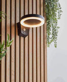 Contemporary Hoop Solar-Powered Exterior wall light - The Farthing