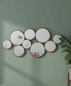 Wall with circular mirrors and a plant on a green wall