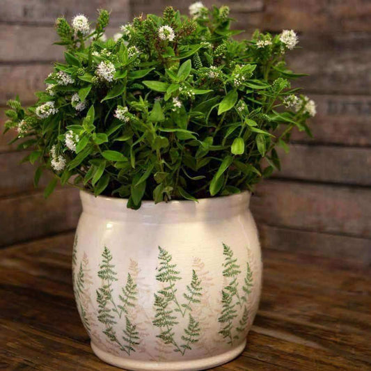 Crackle Glaze Ceramic Fern Plant Pot - The Farthing