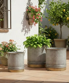 Decorative planters on a wooden deck with a white wall and plants in the background