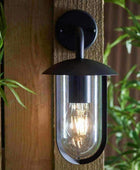 Exterior Black Dome Swan Downlighting Wall Light - The Farthing