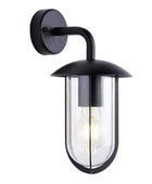 Exterior Black Dome Swan Downlighting Wall Light - The Farthing