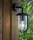 Exterior Black Dome Swan Downlighting Wall Light - The Farthing