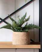 Faux Green Fern in Artificial Soil Ball - The Farthing