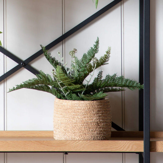 Faux Green Fern in Artificial Soil Ball - The Farthing