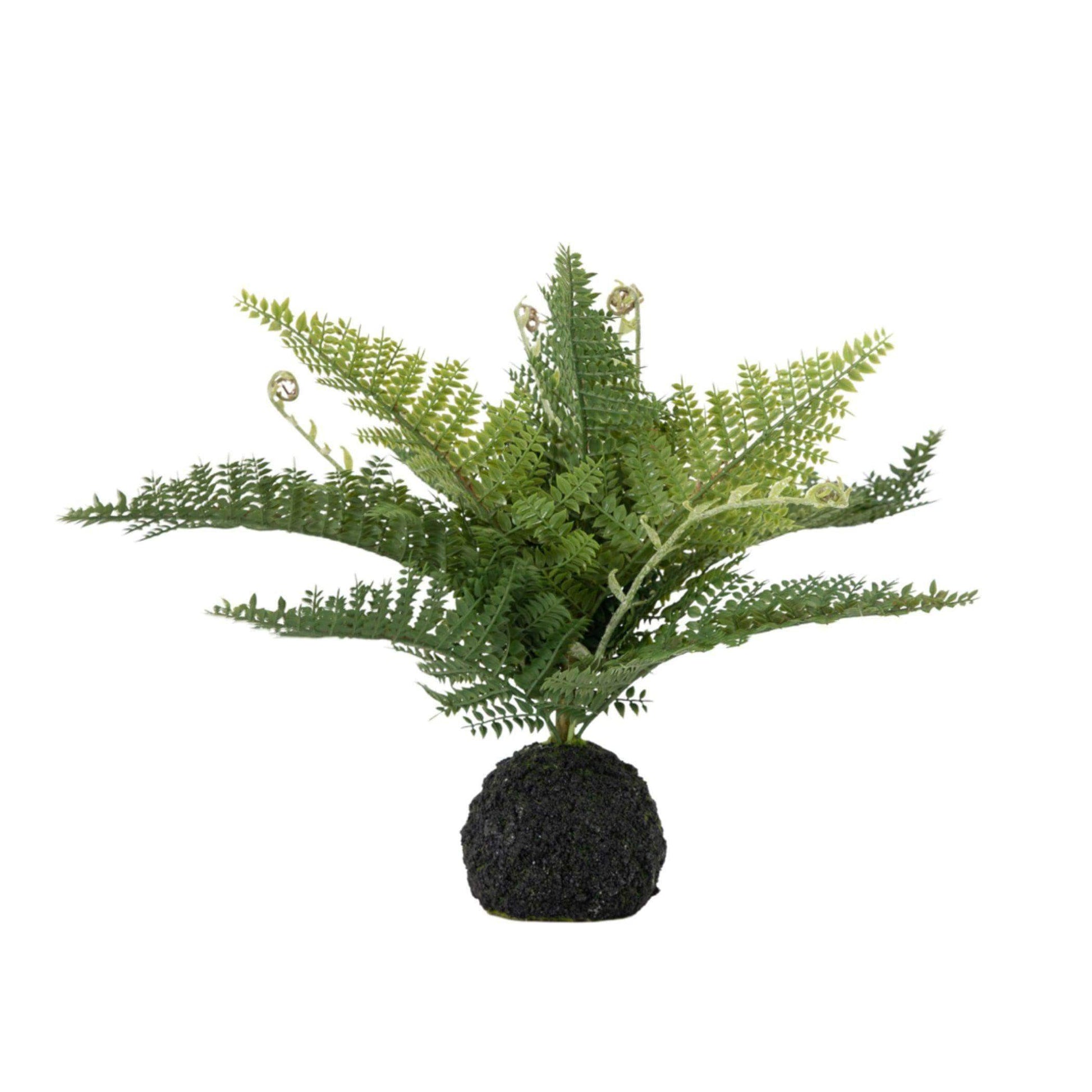 Faux Green Fern in Artificial Soil Ball - The Farthing