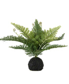 Faux Green Fern in Artificial Soil Ball - The Farthing