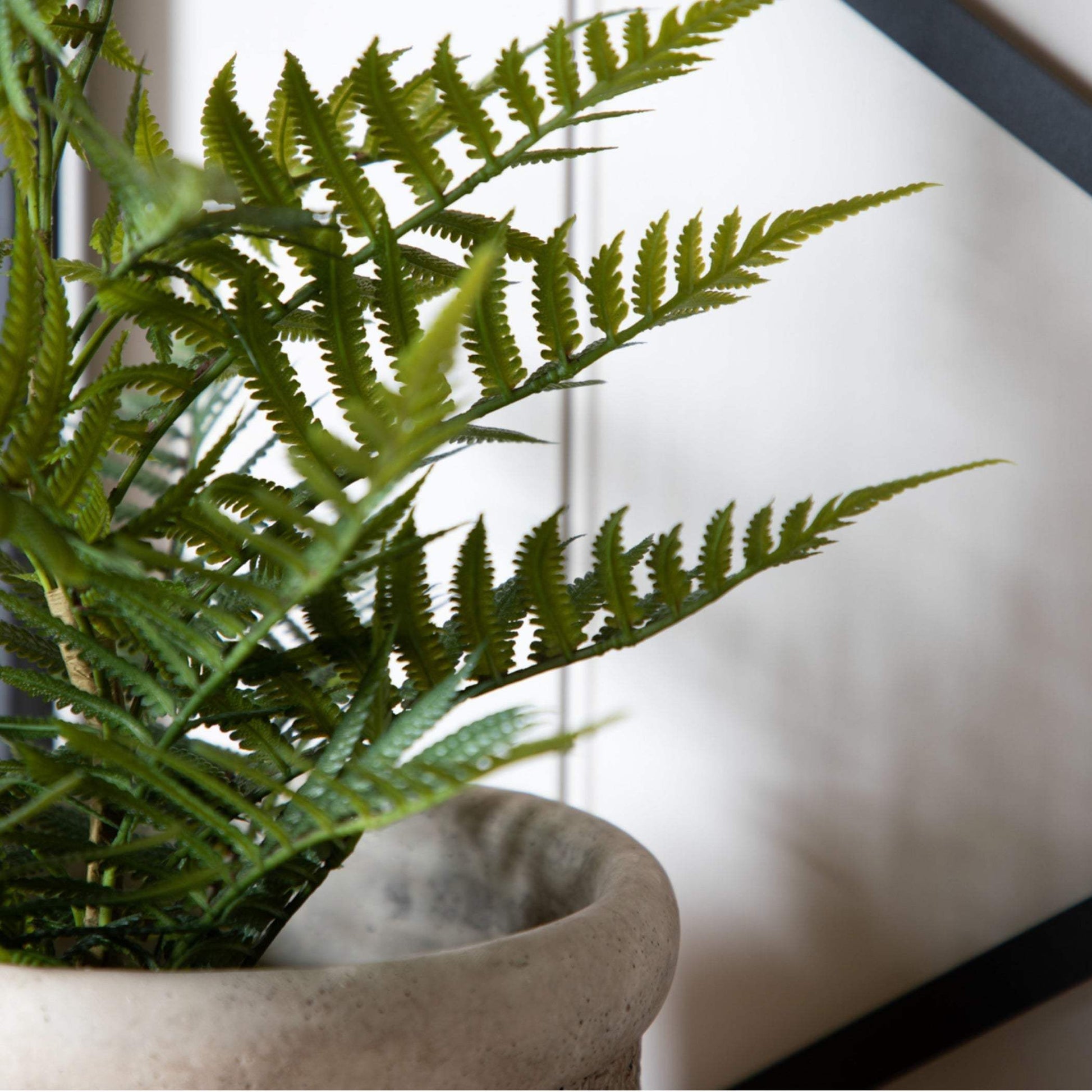 Faux Green Fern in Artificial Soil Ball - The Farthing