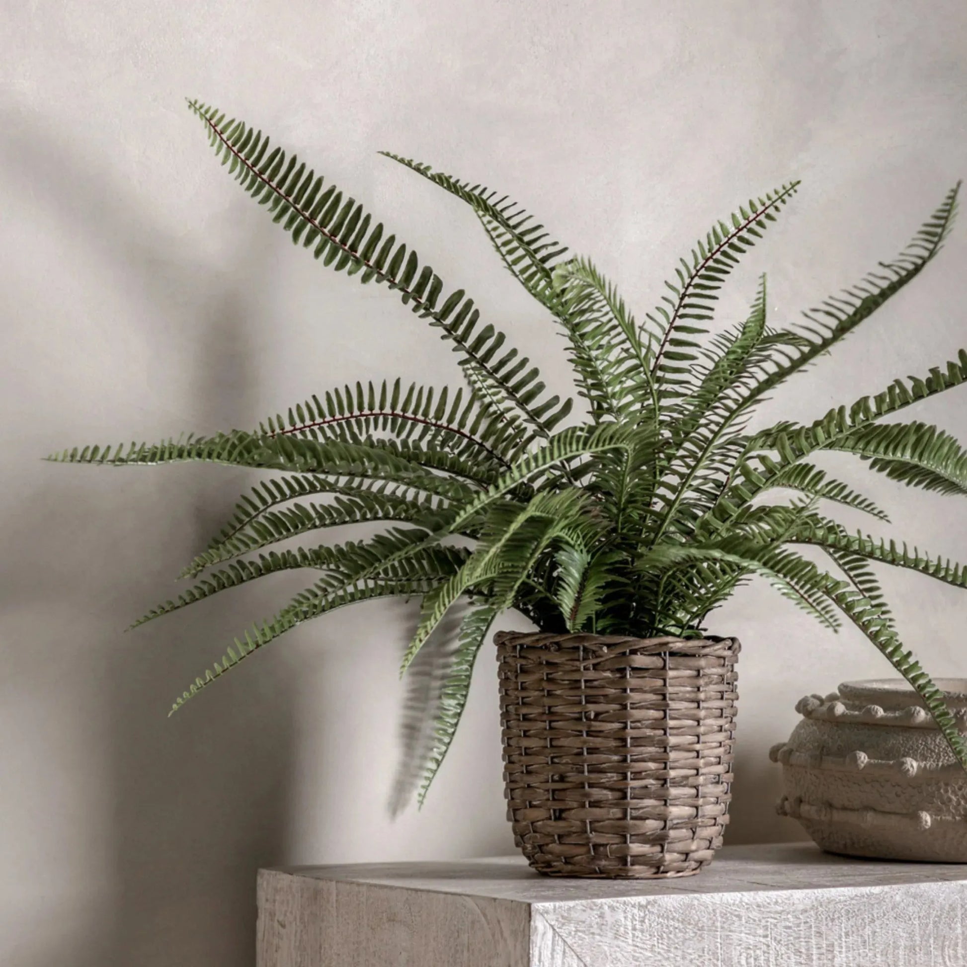 Faux Green Fern in Wicker Pot - The Farthing