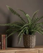 Potted fern plant on a wooden surface with books against a dark background