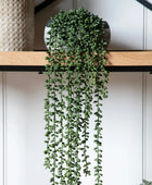 Faux Green String of Pearls in Artificial Soil Ball - The Farthing