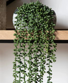 Faux Green String of Pearls in Artificial Soil Ball - The Farthing