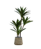 Faux Potted Green Yucca Plant - The Farthing