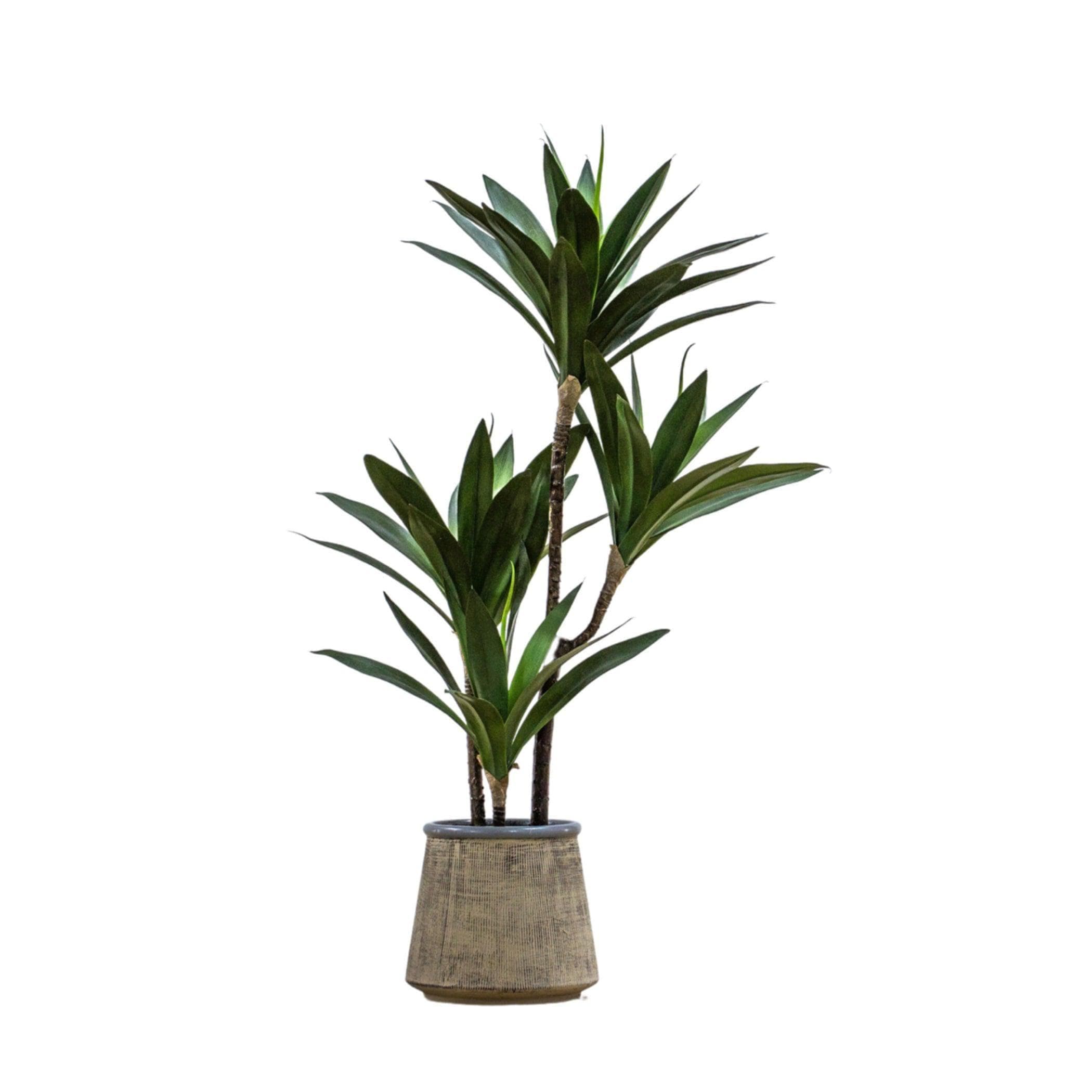 Faux Potted Green Yucca Plant - The Farthing