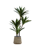 Faux Potted Green Yucca Plant - The Farthing