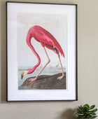 Framed Wading Flamingo Print - The Farthing