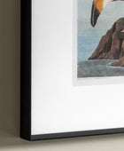 Framed Wading Flamingo Print - The Farthing