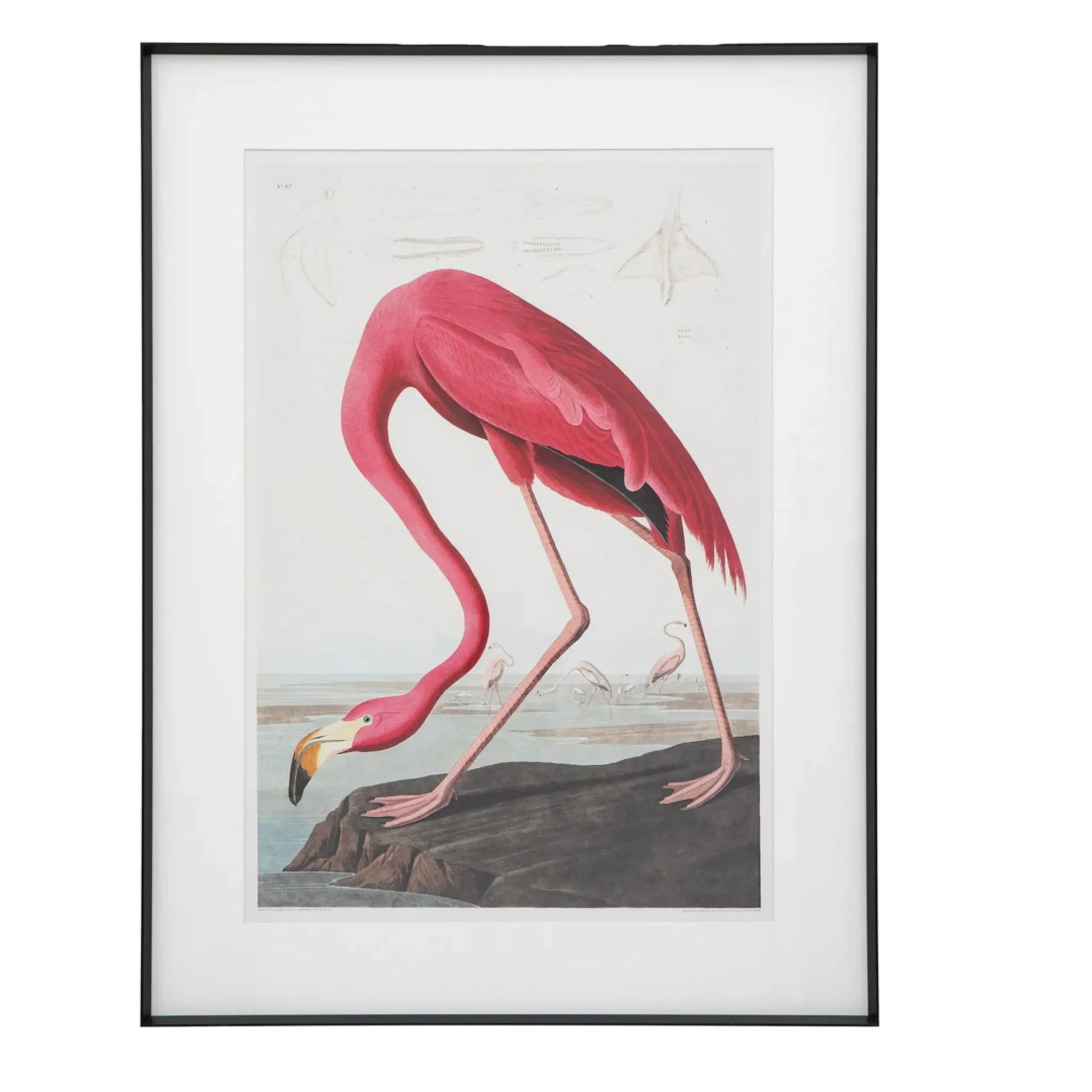 Framed Wading Flamingo Print - The Farthing