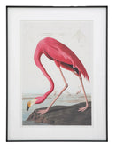 Framed Wading Flamingo Print - The Farthing