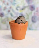 Hedgehog in Pot Ornament - The Farthing