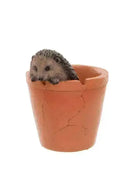 Hedgehog in Pot Ornament - The Farthing