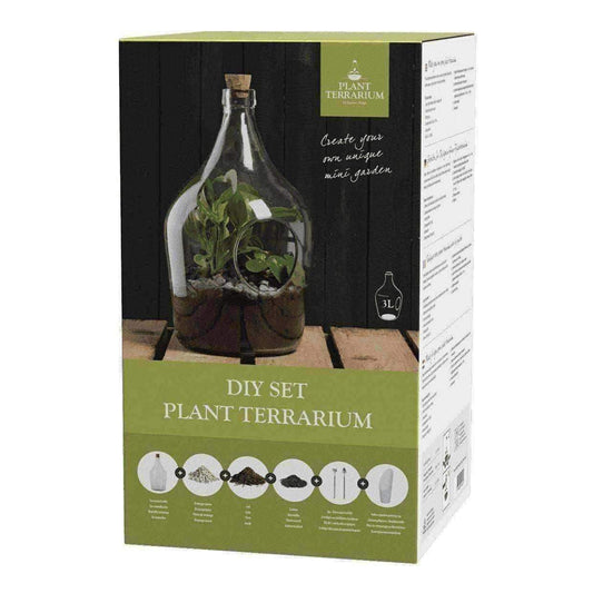 Indoor Open Fronted Glass Bottle 3 Litre Plant Terrarium - DIY Kit - The Farthing