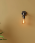 Wall-mounted light fixture with a lit bulb on a beige wall, featuring a plant on the left.