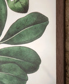 Large Botanical Illustration Framed Print - The Farthing