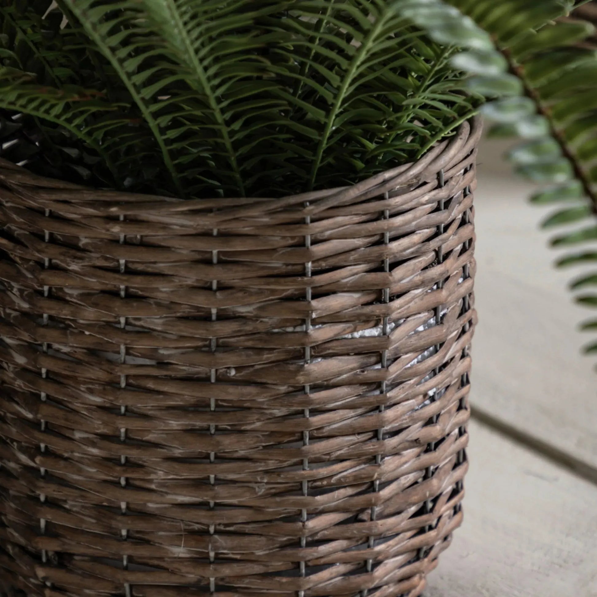 Large Faux Green Fern in Wicker Pot - The Farthing