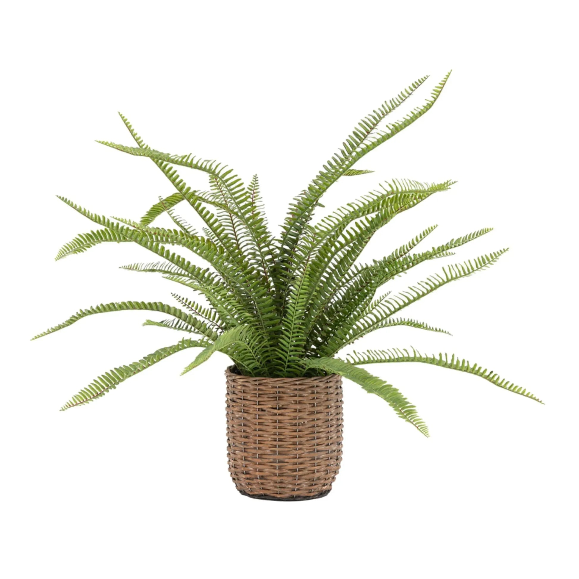 Large Faux Green Fern in Wicker Pot - The Farthing