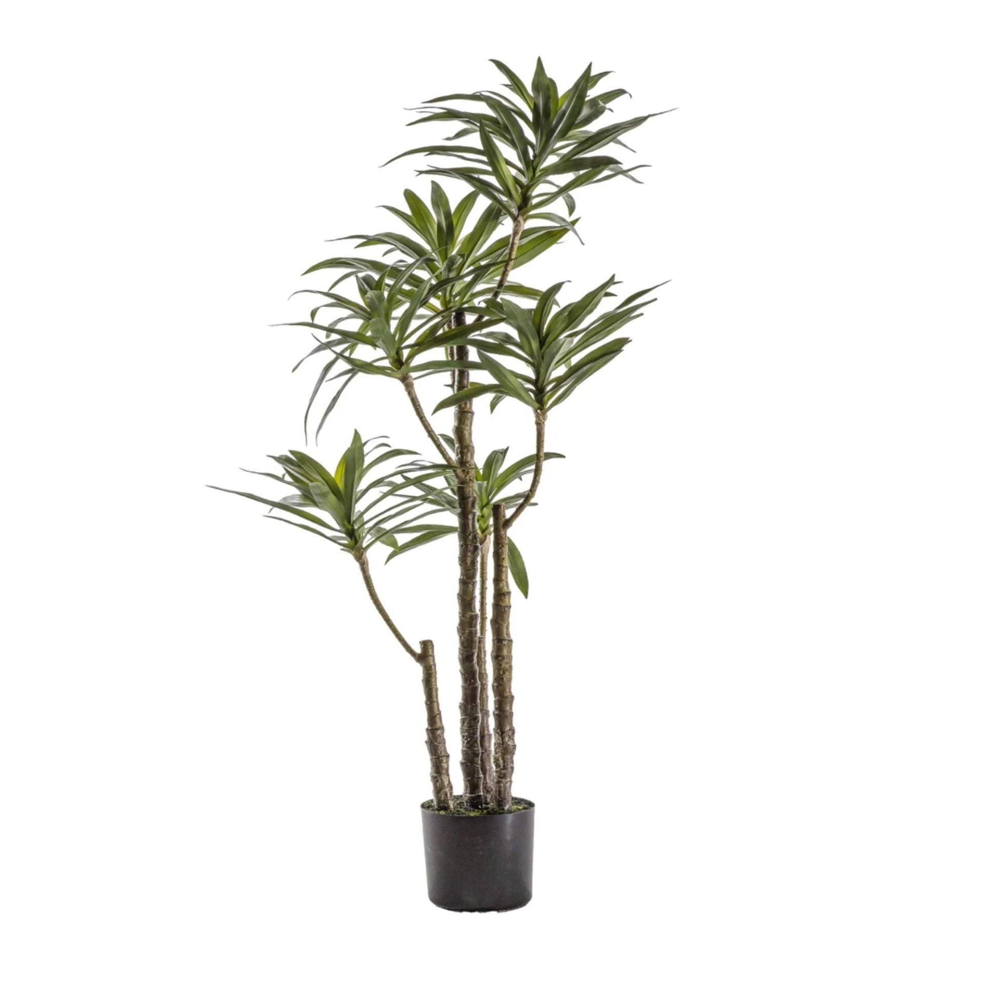 Large Faux Green Yucca Plant - The Farthing