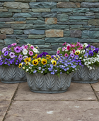 Leaf Edge Distressed Metal Plant Pot Set of 3