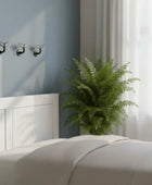 Modern bedroom with a bed, plant, and decorative wall hooks.