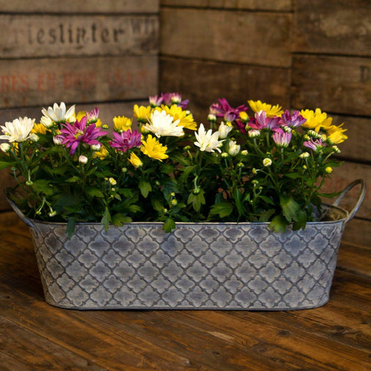 Parisian Inspired Metal Trough Set of 3 Tubs - The Farthing