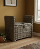 Wicker storage chest against a wall with a plant and rug in the foreground