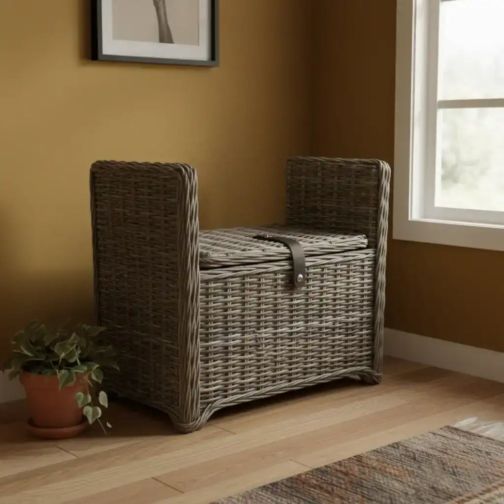 Wicker storage chest against a wall with a plant and rug in the foreground