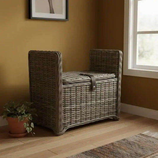 Wicker storage chest against a wall with a plant and rug in the foreground