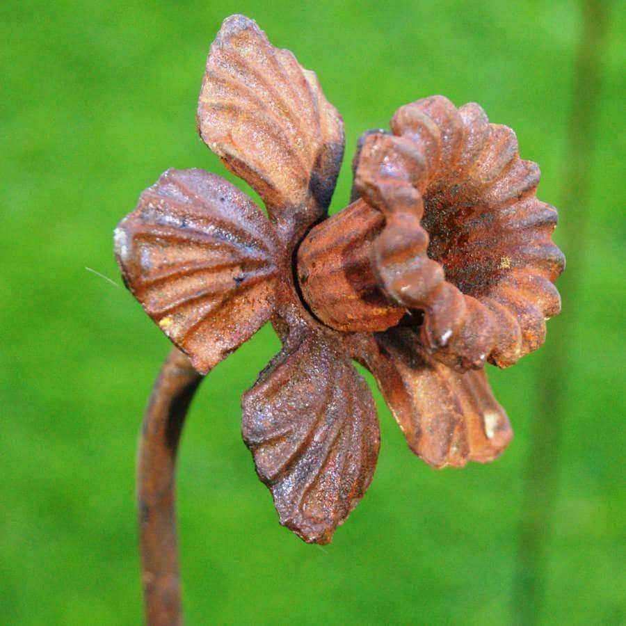 Rusty Daffodil Flower Garden Plant Pot Pin - The Farthing