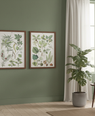 Two framed botanical prints on a green wall with a plant and table in the foreground.