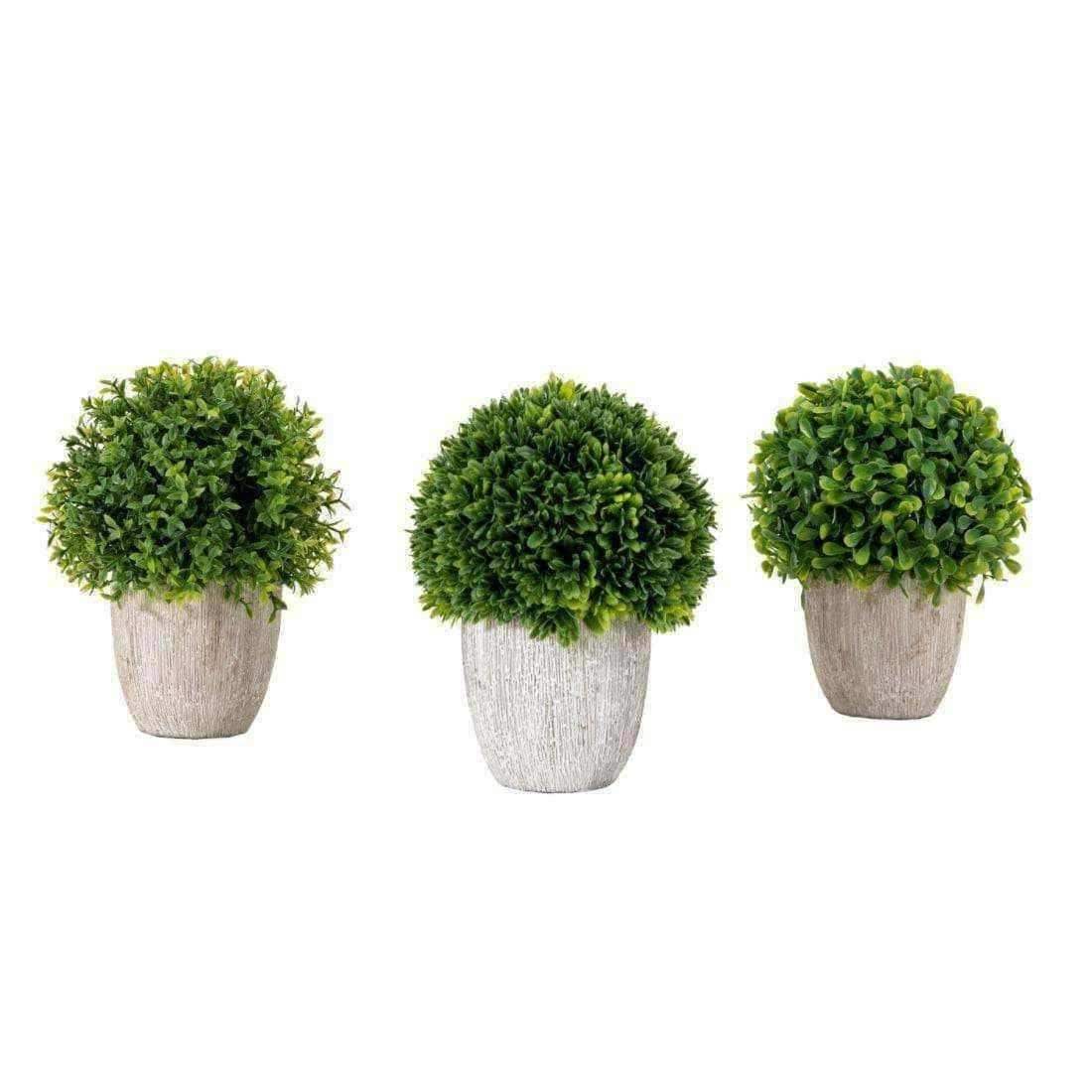 Set of 3 Artificial Potted Mixed Topiary - The Farthing