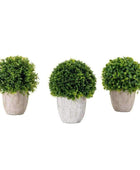 Set of 3 Artificial Potted Mixed Topiary - The Farthing