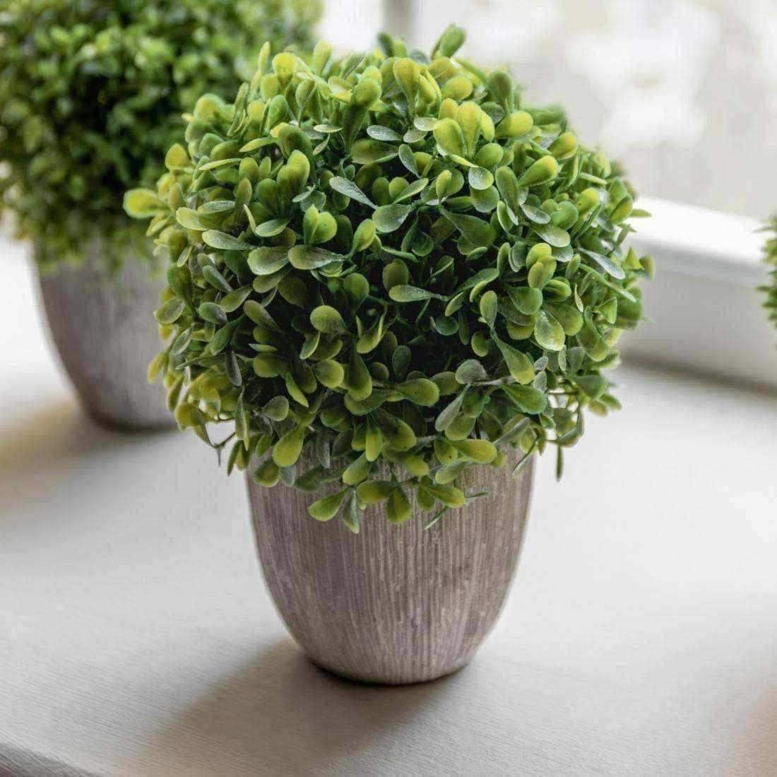 Set of 3 Artificial Potted Mixed Topiary - The Farthing