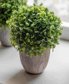 Set of 3 Artificial Potted Mixed Topiary - The Farthing