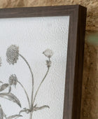 Set of 3 Framed Vintage Style Botanical Prints - The Farthing