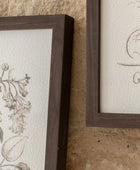Set of 3 Framed Vintage Style Botanical Prints - The Farthing